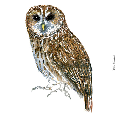 Dw00349 Download Tawny owl (Natugle) watercolour