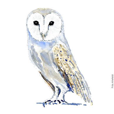 Dw00384 Download Snowy owl (Sneugle) watercolour