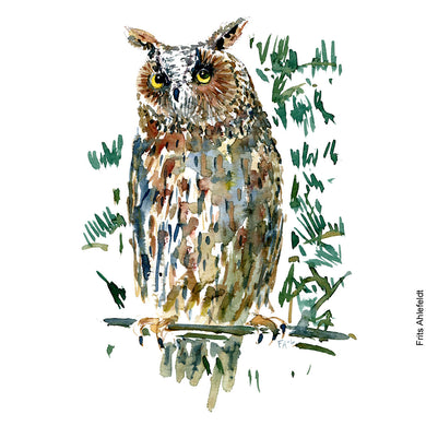 Dw00385 Download Long eared owl (Skovhornugle) watercolour