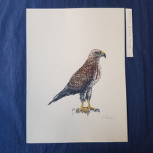 Load image into Gallery viewer, Dw00387 Original Common buzzard watercolor