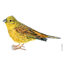 Load image into Gallery viewer, Dw00464 Original Yellow hammer watercolor