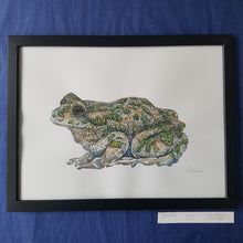 Load image into Gallery viewer, Dw00520 Original European green frog watercolor