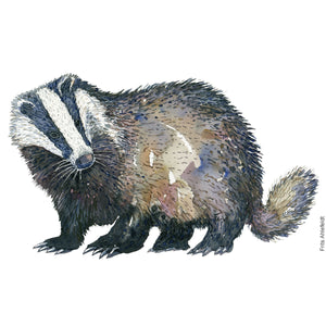 Dw00539 Original European Badger