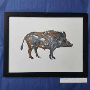 Dw00541 Original Watercolor of Wild boar
