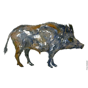 Dw00541 Original Watercolor of Wild boar