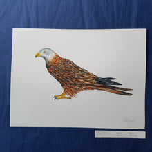 Load image into Gallery viewer, Dw00586 Original Red kite watercolor