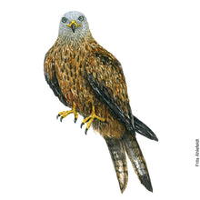 Load image into Gallery viewer, Dw00587 Original Red kite watercolor