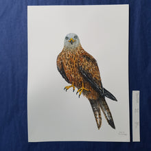 Load image into Gallery viewer, Dw00588 Original Red kite watercolor