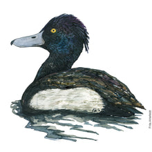 Load image into Gallery viewer, Dw00611 Original Tufted duck watercolor