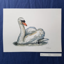 Load image into Gallery viewer, Dw00634 Original Mute Swan watercolor
