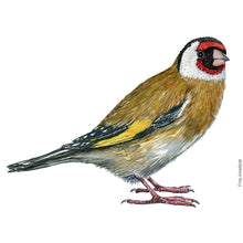 Load image into Gallery viewer, Dw00648 Original European goldfinch watercolor
