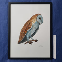 Load image into Gallery viewer, Dw00659 Original Barn owl watercolor