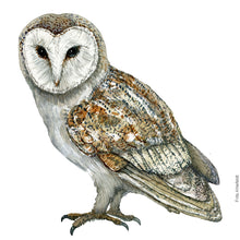 Load image into Gallery viewer, Dw00660 Original Barn owl watercolor
