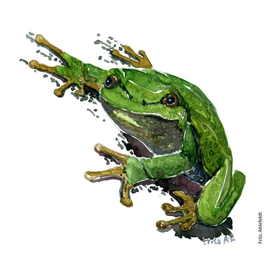 Dw00003 Download European tree frog watercolor