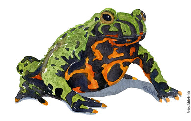 Dw00005 Download Fire bellied toad watercolor