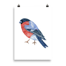 Load image into Gallery viewer, Eurasian Bullfinch Art print