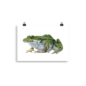 Edible Frog watercolor Artprint