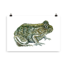 Load image into Gallery viewer, Common Spade toad watercolor Art print