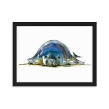 Load image into Gallery viewer, Monk Seal Watercolor Framed Art Print