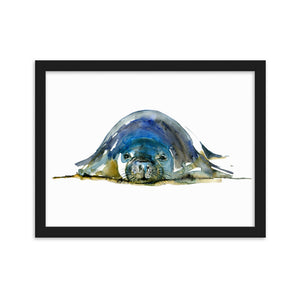 Monk Seal Watercolor Framed Art Print