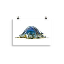 Load image into Gallery viewer, Monk Seal Watercolor Art Print