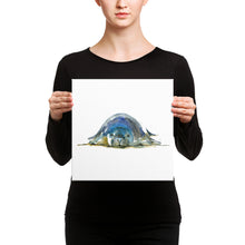 Load image into Gallery viewer, Monk Seal Watercolor Canvas print