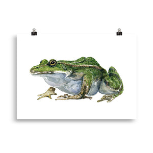 Edible Frog watercolor Artprint