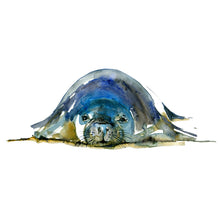 Load image into Gallery viewer, Monk Seal Front View Watercolor by Frits Ahlefeldt