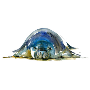 Monk Seal Front View Watercolor by Frits Ahlefeldt