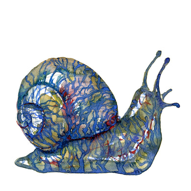 Original Tribal snail-1 Watercolor